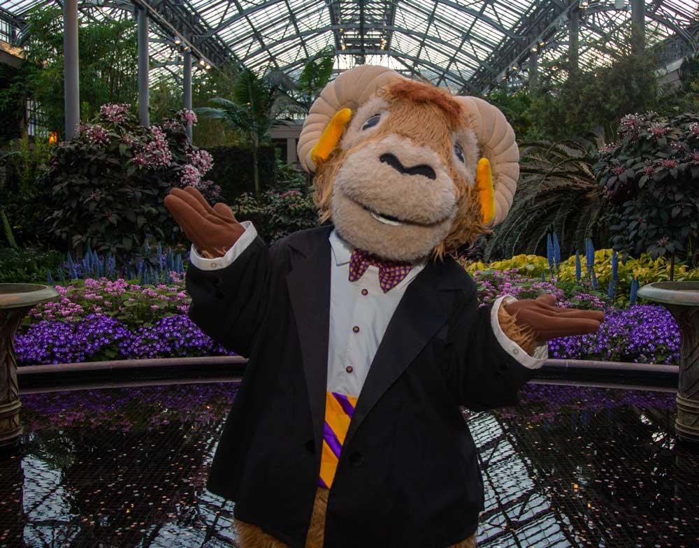 Rammy at Longwood Gardens