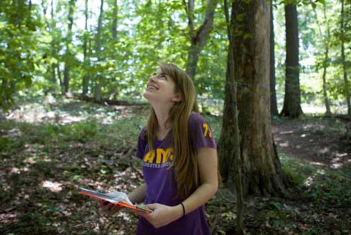 Girl Looking Up at Trees in a Forest